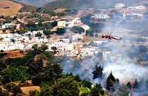 Atina Gözlemevi'ne göre yangınlarda 50 bin hektarlık alan küle dönerken en az 5 kişi alevler ve duman nedeniyle hayatını kaybetti
