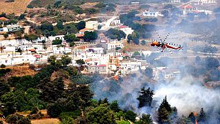 Atina Gözlemevi'ne göre yangınlarda 50 bin hektarlık alan küle dönerken en az 5 kişi alevler ve duman nedeniyle hayatını kaybetti