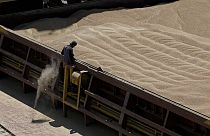 Schiacciante sì del Parlamento bulgaro, alla revoca del divieto di importazione del grano ucraino, temporaneamente autorizzato dalla Ue per proteggere gli agricoltori
