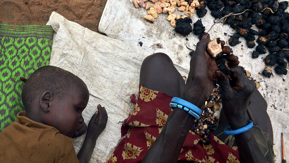أم تقشر جذور نبتة زنبق الماء لإطعام طفلها في ولاية الوحدة، جنوب السودان.