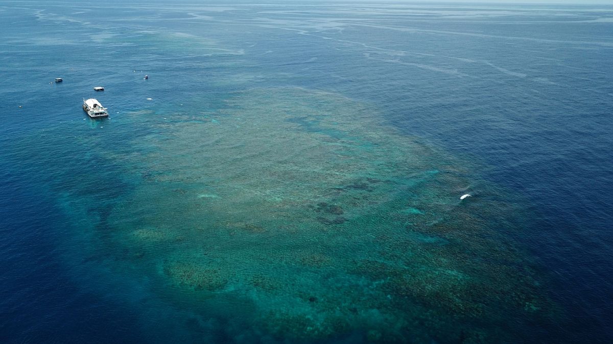Una sección de la Gran Barrera de Coral por encima del arrecife Moore, en Gunggandji Sea Country, frente a la costa de Queensland, en el este de Australia.