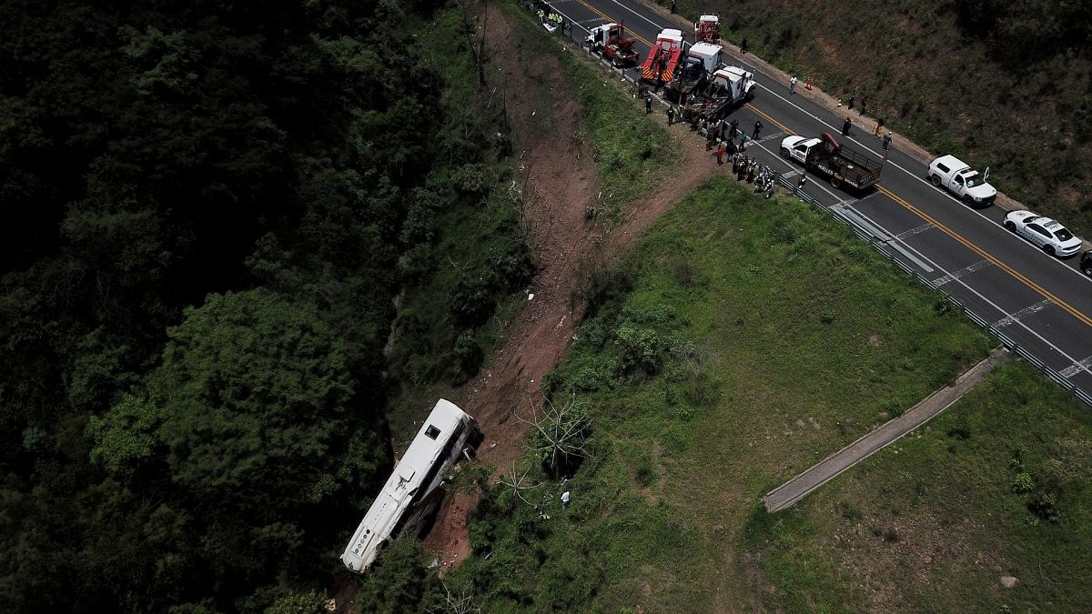 صورة جوية لموقع الحادث في ولاية ناياريت، المكسيك، 3 أغسطس 2023