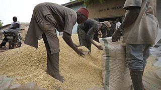 African leaders call for the release of Russian cereals