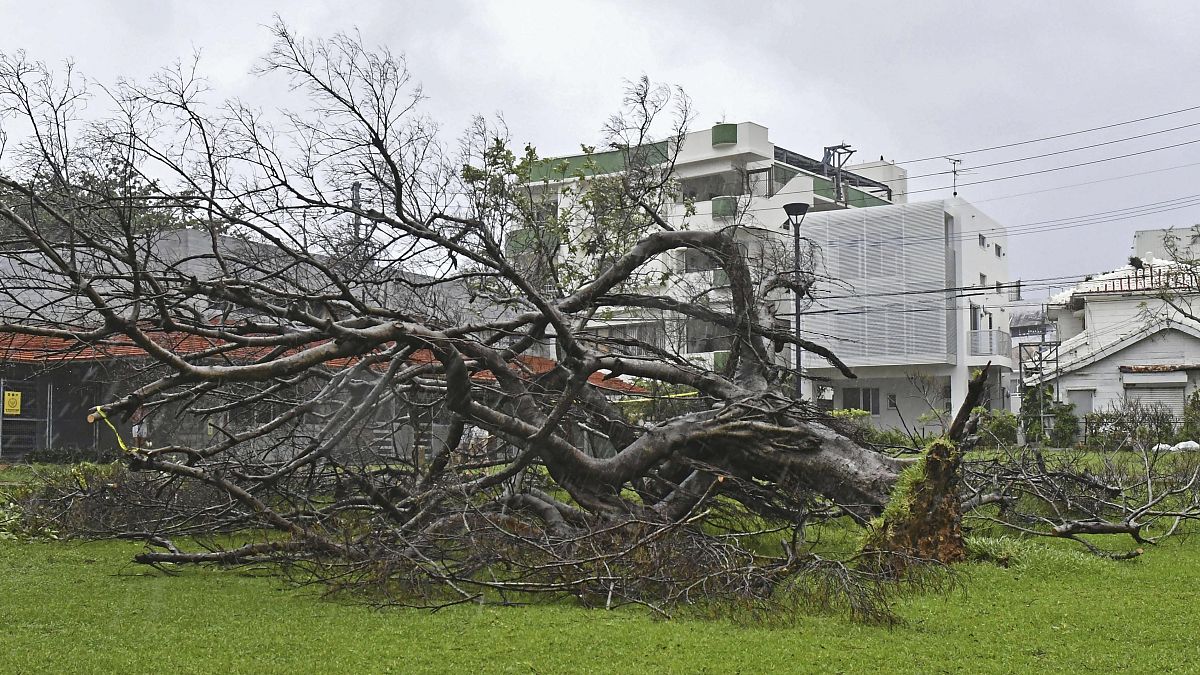 من الأضرار التي خلفها الإعصار خانون في أوكيناوا جنوب غرب اليابان 