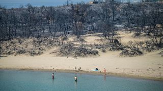 A woman enters the sea from a beach where wildfires destroyed the woods, at Glystra near the village of Gennadi in the southern part of the Greek island of Rhodes.