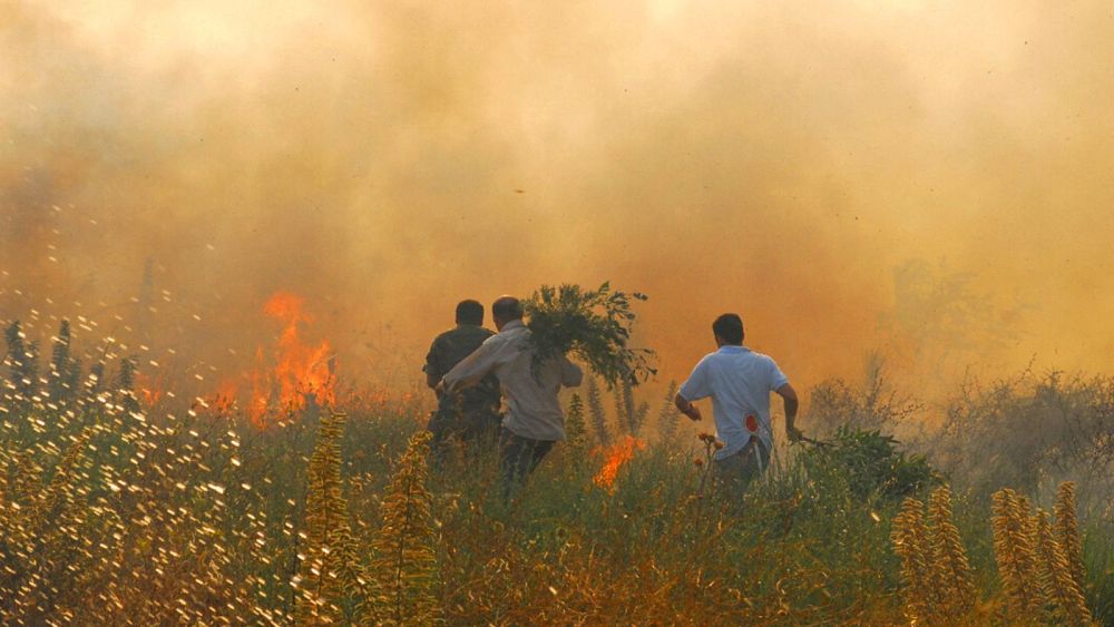Повече от 600 души бяха евакуирани заради бушуващите горски пожари в Сардиния в Италия
