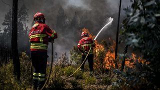 Firefighters battle a wildfire in Carrascal, Proenca a Nova on August 6, 2023.