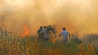 Nesta fotografia de julho de 2009, voluntários correm enquanto trabalham para apagar um incêndio florestal perto de Nuoro, no centro da Sardenha.