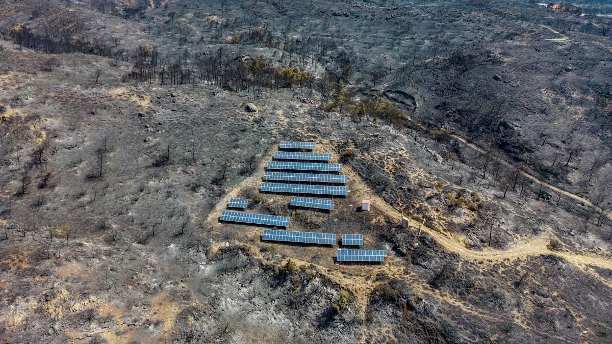 Vista aérea de paneles solares entre árboles carbonizados, mientras arde un incendio forestal en la isla de Rodas, Grecia.