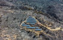 Vista aérea de paneles solares entre árboles carbonizados, mientras arde un incendio forestal en la isla de Rodas, Grecia.