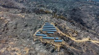 An aerial view of solar panels among charred trees, as a wildfire burns on the island of Rhodes, Greece.