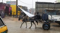 رجل يركب عربة يجرها حمار أثناء هطول أمطار غزيرة في منطقة سقاعي بالقرب من أم درمان، السودان، في 5 أغسطس 2023.