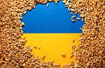 Ukrayna bayrağı ve tahıl görseli