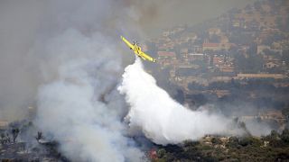 Пожар на Кипре тушат с воздуха.