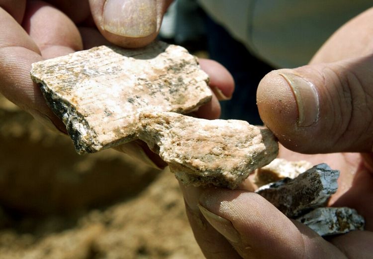73 - چرا زمین شناسان سنگ ها را لیس می زنند ؟ - EURO NEWS