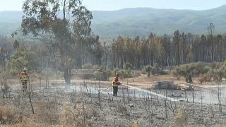 لا يزال مئات من رجال الإطفاء في البرتغال يكافحون الإثنين حرائق الغابات