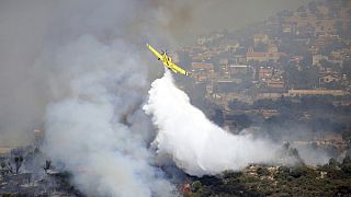 Πυροσβεστικό αεροσκάφος επιχειρεί στην Κύπρο - φώτο αρχείου