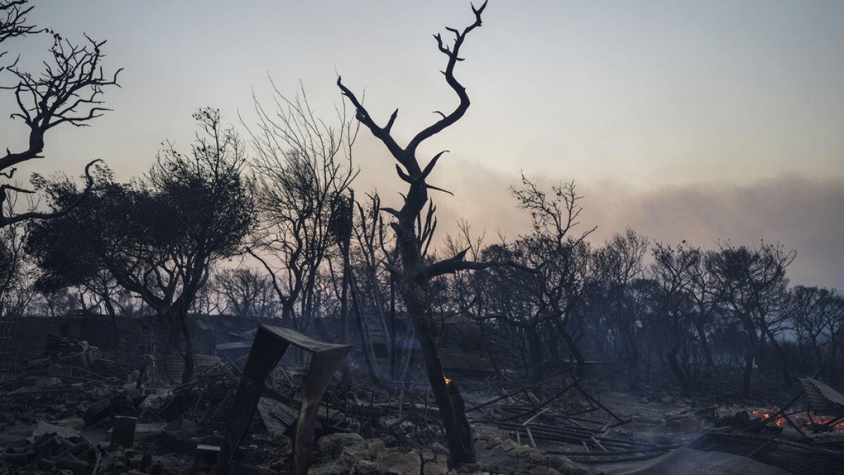Καμμένη έκταση μετά τις φωτιές στη Μάνδρα Αττικής