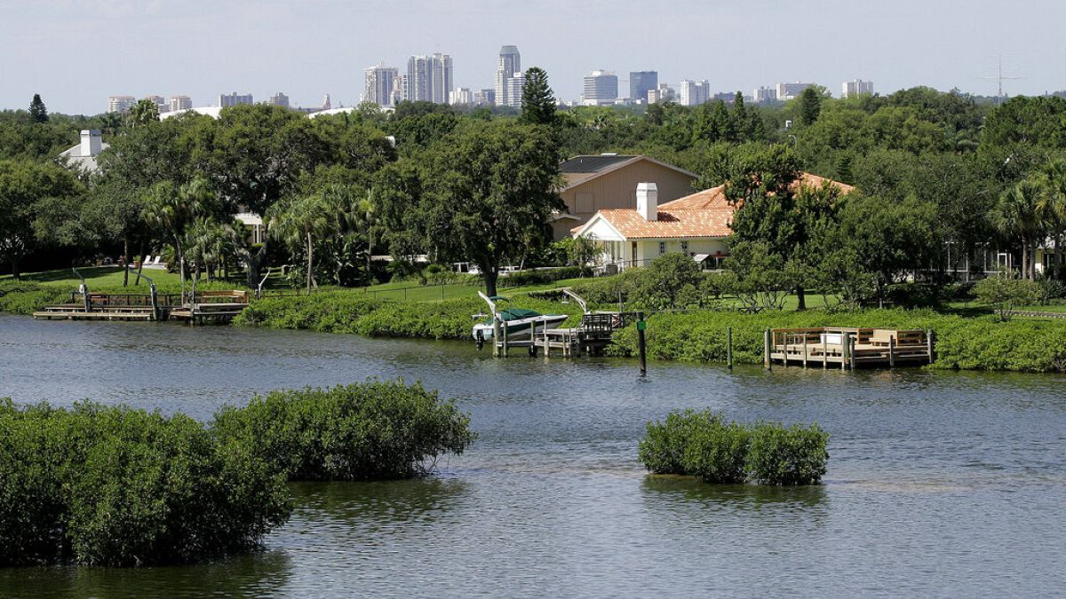 Az autókat egy Miami melletti tóban találták meg (a kép illusztráció)