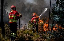 ARQUIVO: As equipas de bombeiros têm estado a combater incêndios em diferentes partes de Portugal, incluindo este incêndio em Carrascal, Proença a Nova, a 6 de agosto de 2023