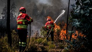 FILE: Fire crews have been battling blazes in different parts of Portugal, including this wildfire in Carrascal, Proenca a Nova on August 6, 2023