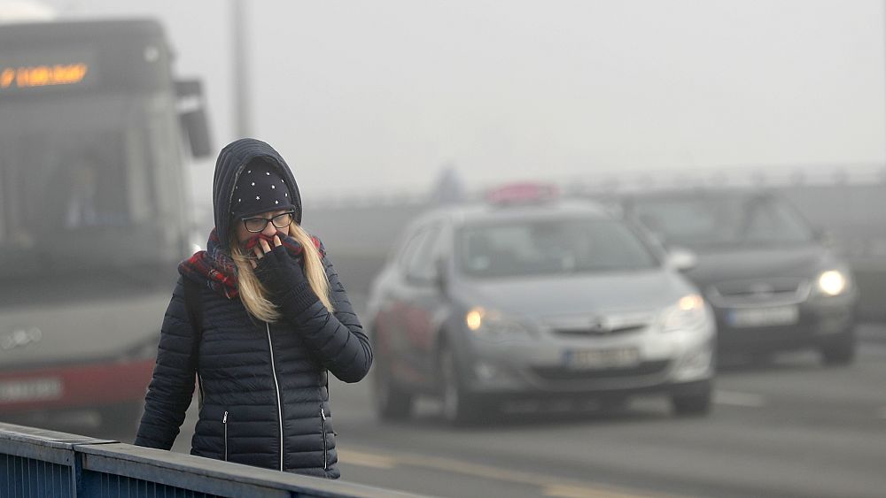 Момиче минава през мост в Белград, Сърбия, сряда, 15 януари