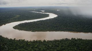 نهر إيتاكواي في الأمازون