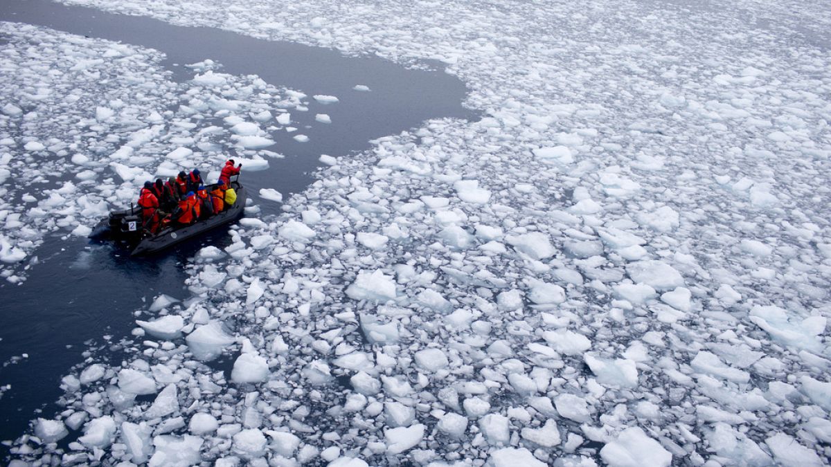 Egy nemzetközi kutatócsoport tagjai az Antarktiszon 2015. január 22-én