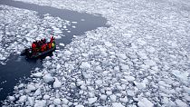 Antartika'da buzulların erimesi
