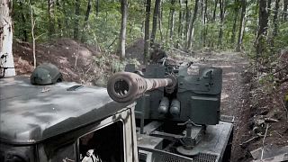Артиллерия на полях боя в Украине