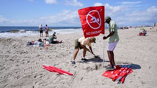 Tras el ataque, se prohibió el baño y la práctica del surf en aguas de Rockaway Beach 