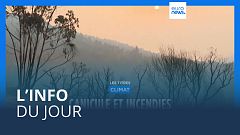 L’info du jour | 9 août - Mi-journée