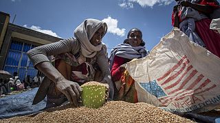 Éthiopie : le PAM "teste" la reprise de son aide alimentaire au Tigré