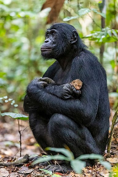 Scoprite Le Immagini Mozzafiato Vincitrici Del Nature InFocus ...