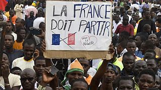 Arrestation du fils de l'ambassadrice du Niger en France limogée