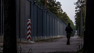Стена на польско-белорусской границе недалеко от Беловежи, восточная Польша, 29 мая 2023 года. 