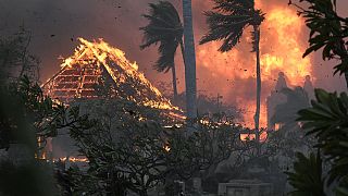 ABD: Maui Adası'ndaki orman yangınlarında 36 kişi hayatını kaybetti