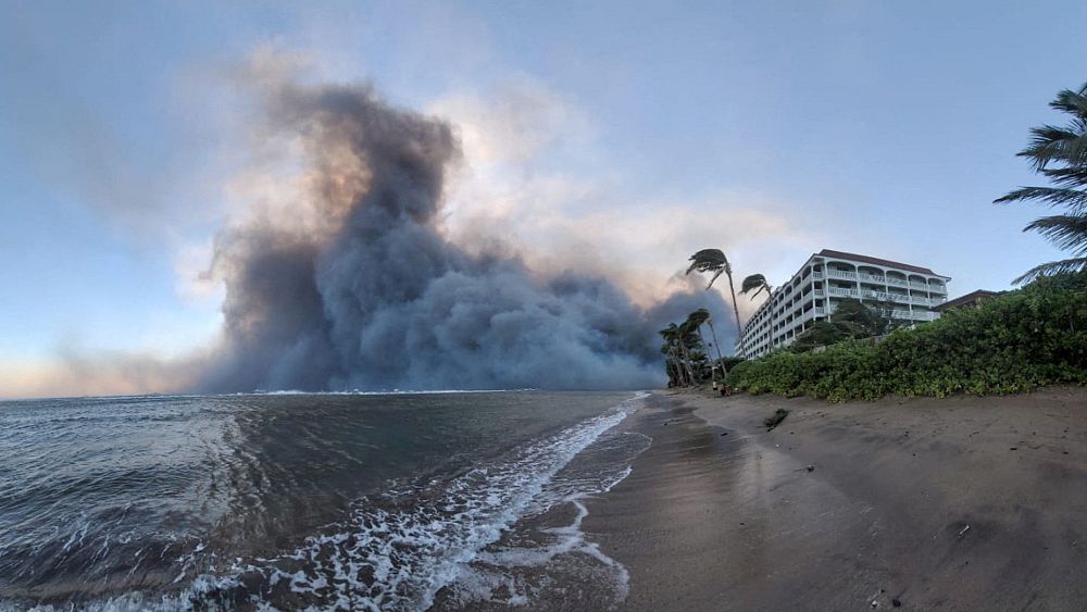 „Най-лошото бедствие, което някога съм виждал“: Жители се гмурнаха в океана, докато горски пожари разкъсваха Мауи