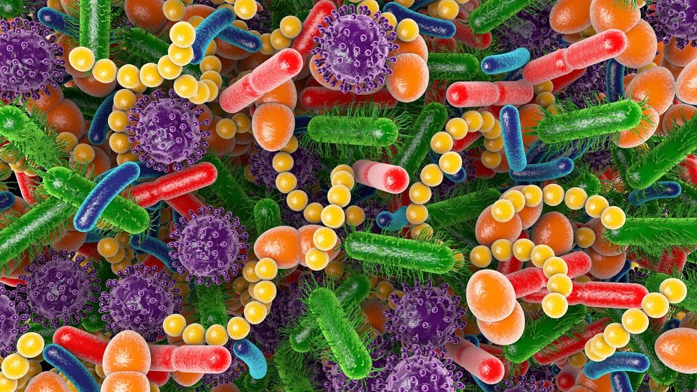 Photo of Vedci sa domnievajú, že našli spojenie medzi baktériami v našich črevách a tým, ako rýchlo starneme