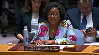 Soudan : "des risques de conflits ethniques et régionaux", déplore l’ONU