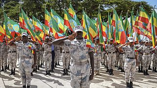 Éthiopie : l'armée a "libéré" des grandes villes en Amhara