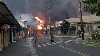 Pillanatkép a tűzvészről - Lahaina, Maui - 2023. augusztus 8.