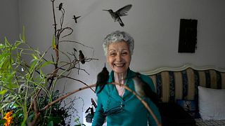 Catia Lattouf posa para una foto con colibríes a su cuidado, en su apartamento que ha convertido en una clínica improvisada para los diminutos pájaros en Ciudad de México.