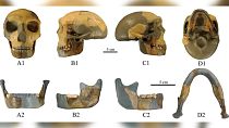 فسیل انسانی مربوط به ۳۰۰ هزار سال پیش در چین