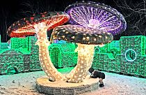 A child plays under lit mushrooms in the Light Labyrinth in the Wilanow Palace Garden in Warsaw, Poland. 6 December 2013