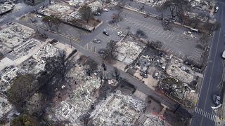 Последствия лесных пожаров в Лахайне на Гавайских островах
