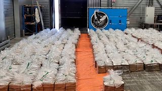 Le autorità doganali dei Paesi Bassi hanno dichiarato di aver intercettato un carico di oltre 8.000 chilogrammi di cocaina.