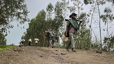US calls for investigation into alleged civilian killings in Ethiopia's Amhara region