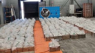 Cocaine seized at Rotterdam port