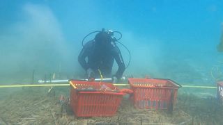 Arkeologlar Ohri Gölü'nün suları altındaki eserleri ortaya çıkardı